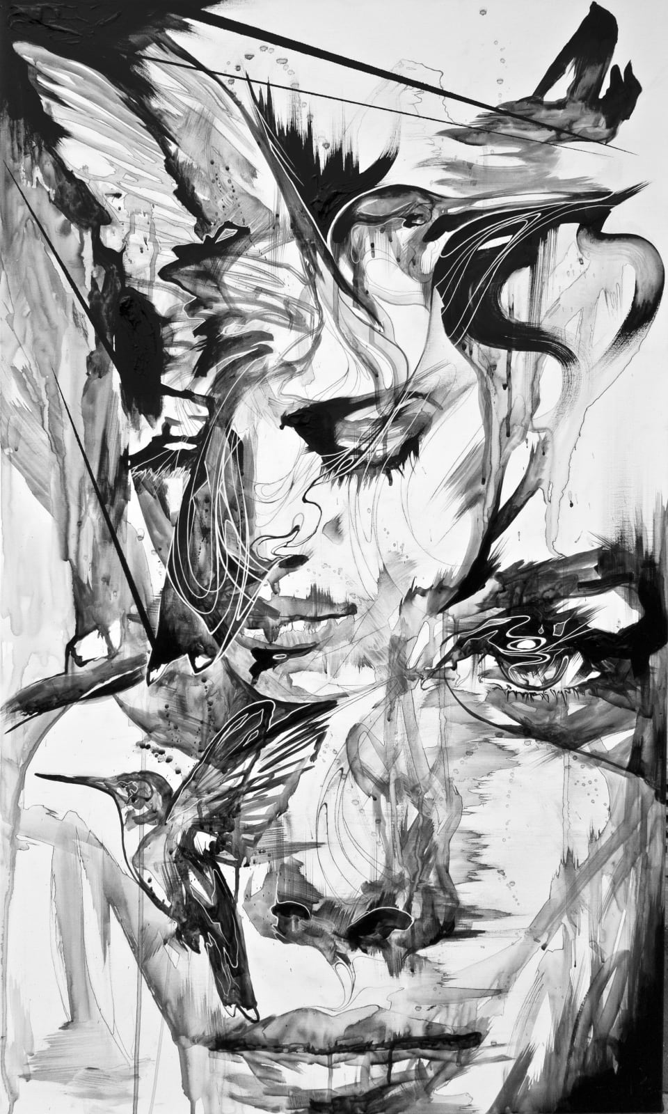 Danny O'Connor, Summerbirds have serenity in their song, 2018