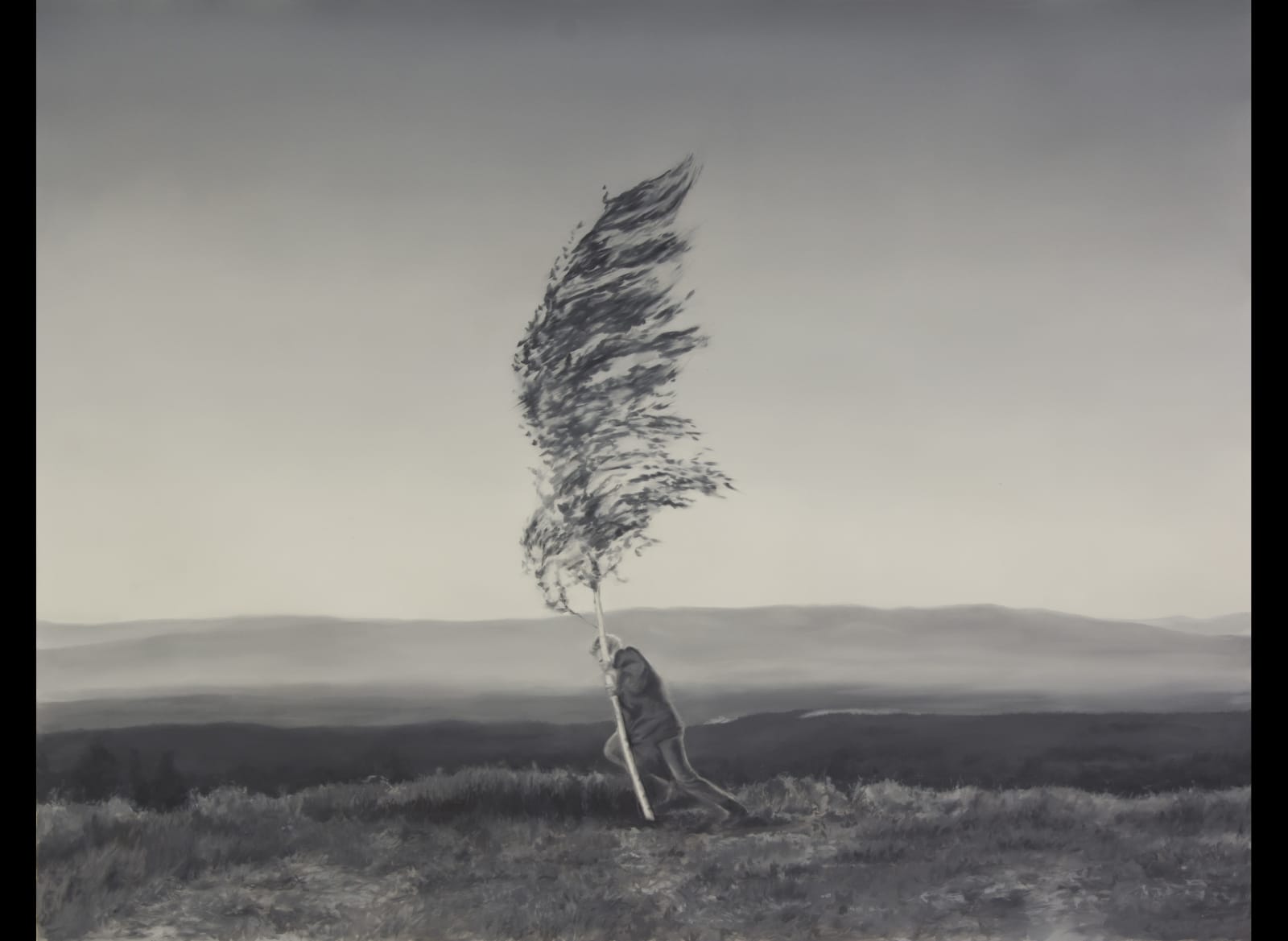 Jose Antonio Ochoa, De Cal Y Piedra IV (Lime and Stone IV)