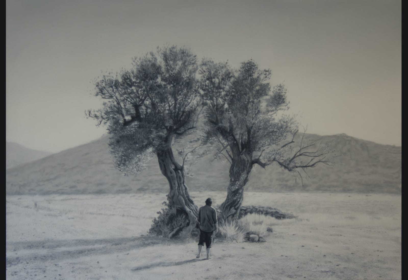 Jose Antonio Ochoa, Solitary Tree, 2020