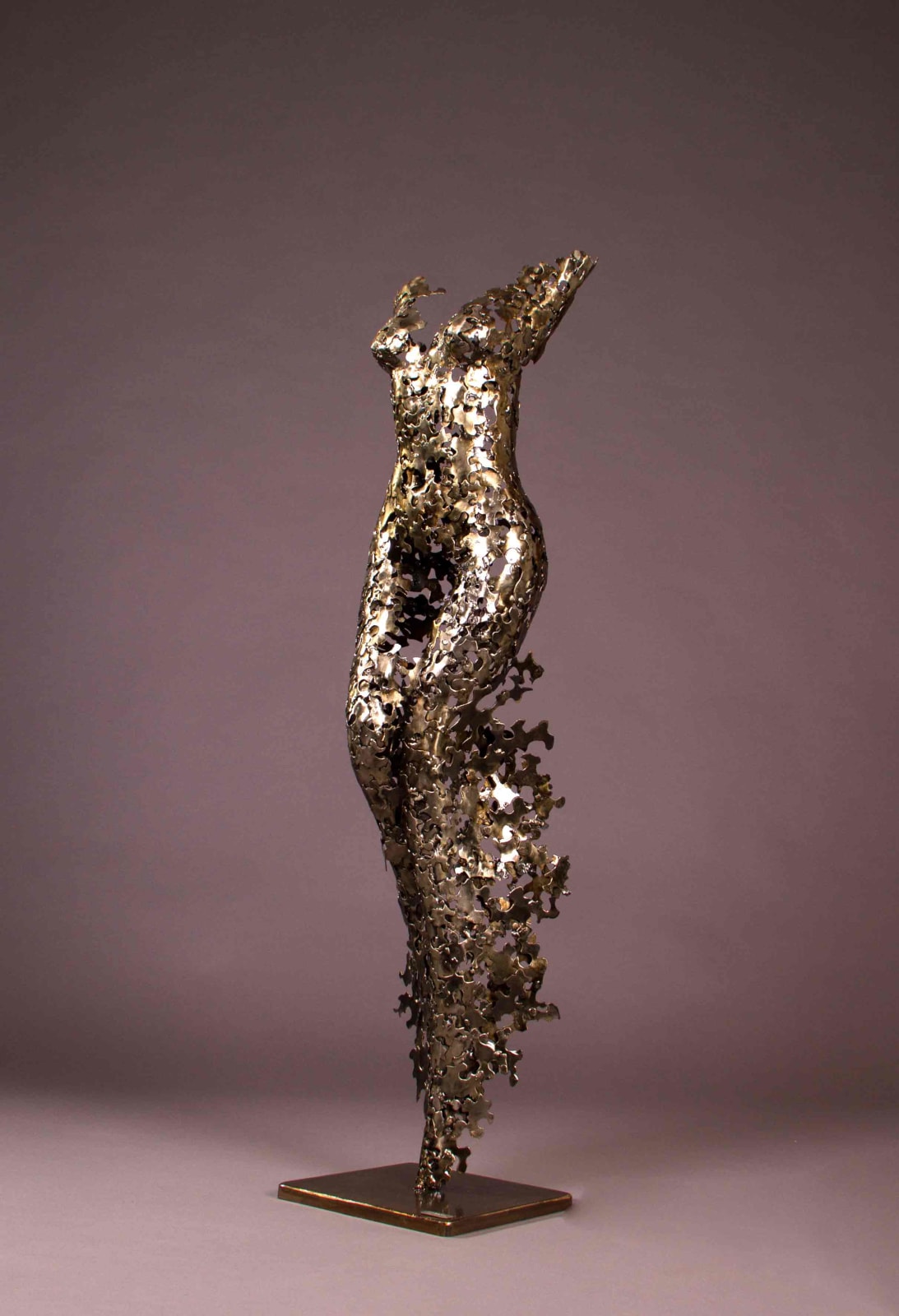 Nimrod Messeg, Aidin