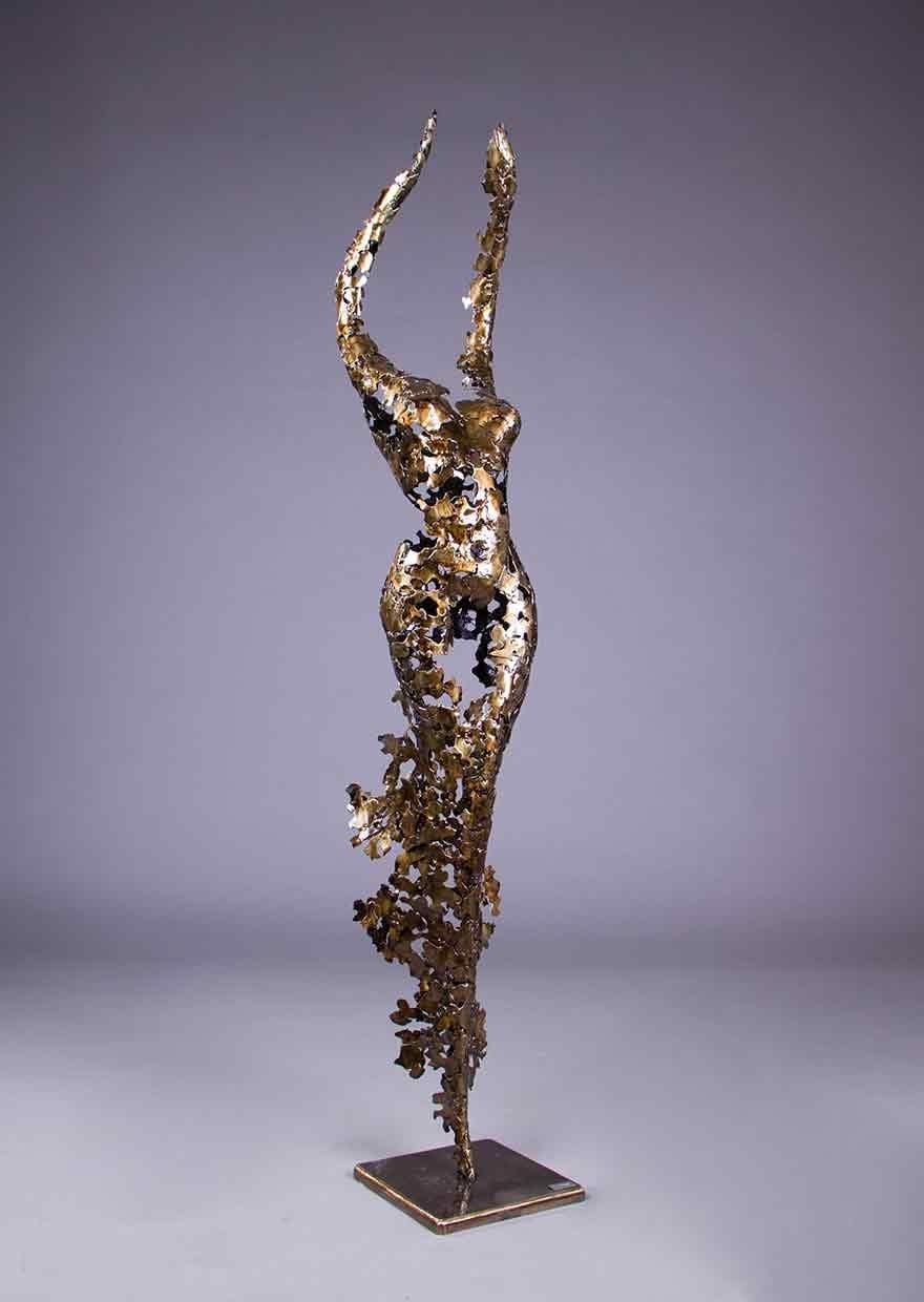 Nimrod Messeg, Iris