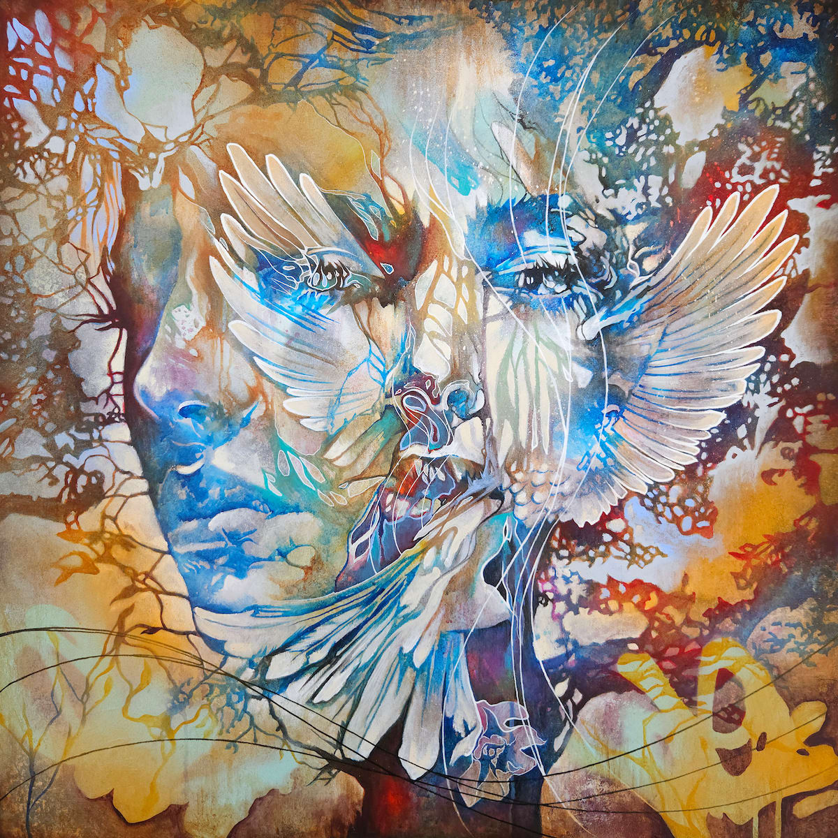 Danny O'Connor, Urban Skies and Feathered Eyes