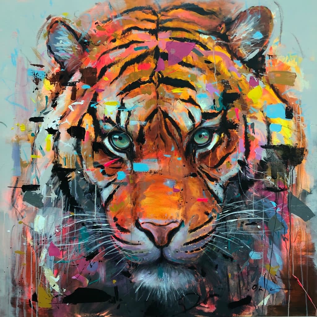 David Noalia, Tiger