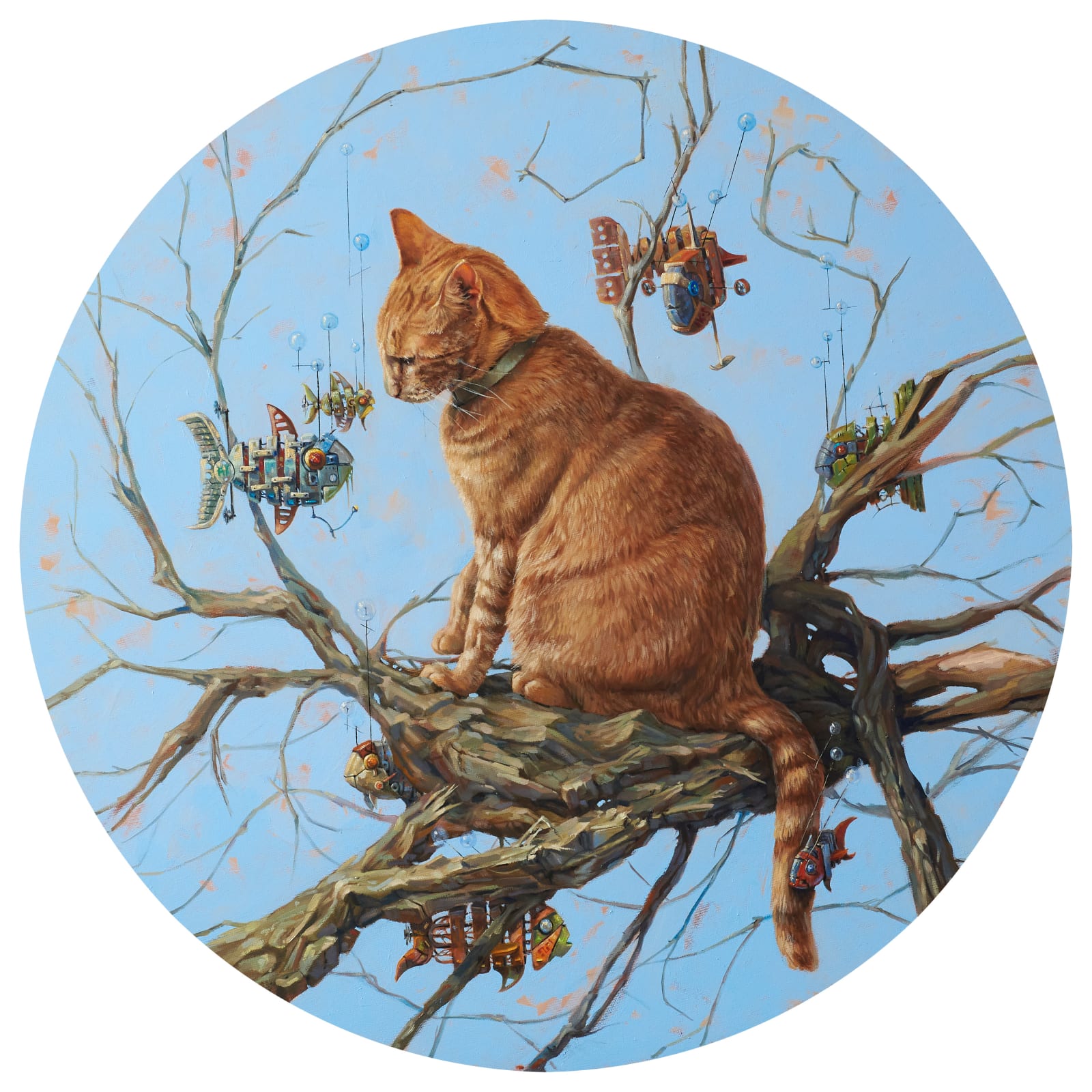 Manuel Luna, Gatos y peces conviven a veces (Cats and fish sometimes coexist), 2021