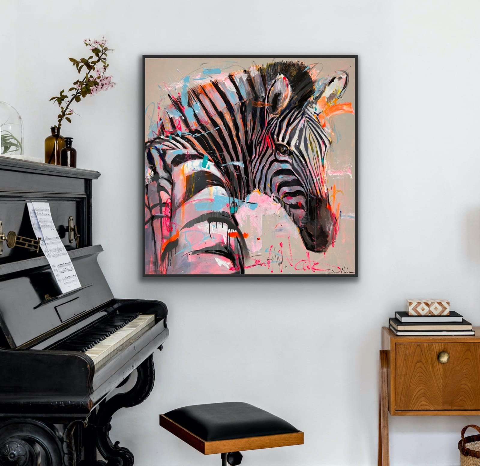 David Noalia, Zebra