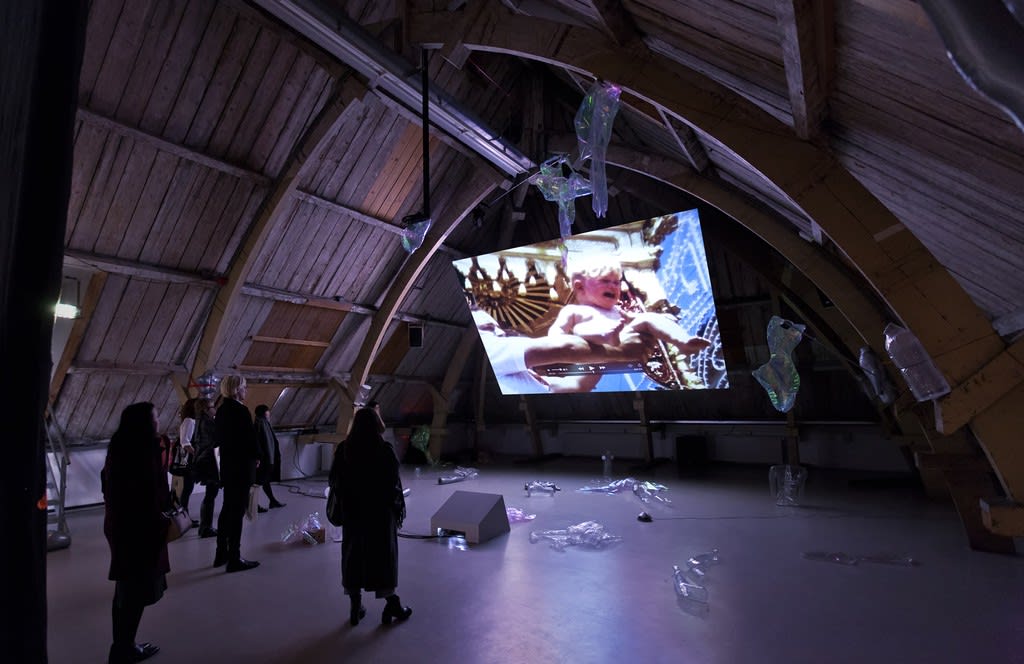 Pauline Curnier Jardin, Explosion Ma Baby, 2016