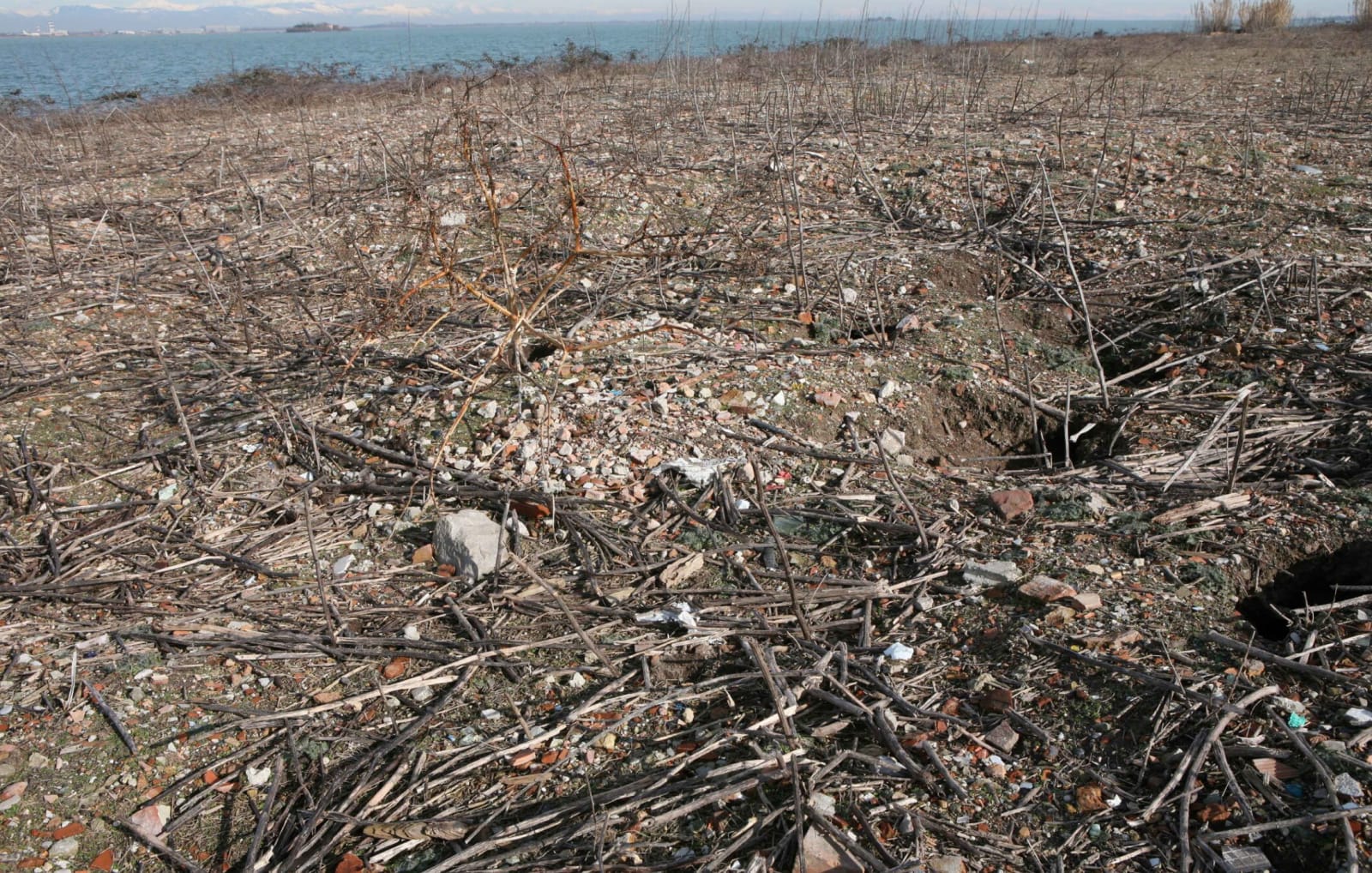 Lara Almarcegui, Sacca San Mattia, the Abandoned Island of Murano, Venice, 2013