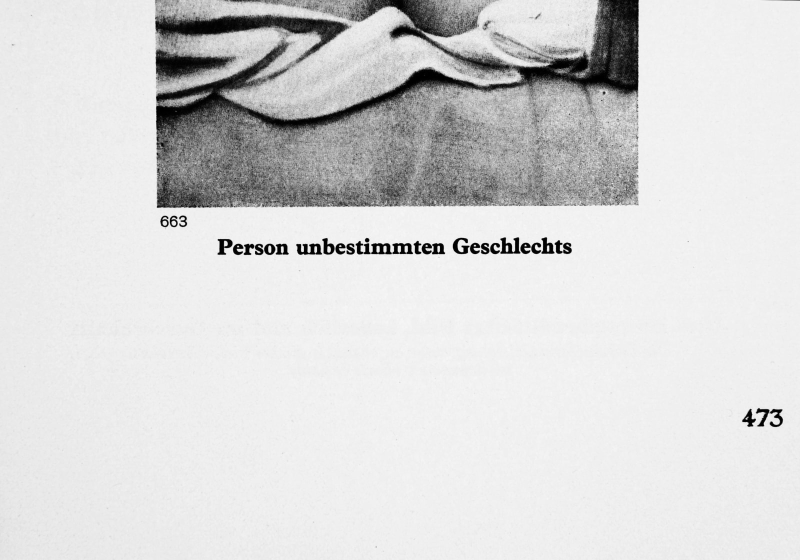 Pauline Boudry / Renate Lorenz, Person unbestimmten Geschlechts (Abstract Drag), 2013