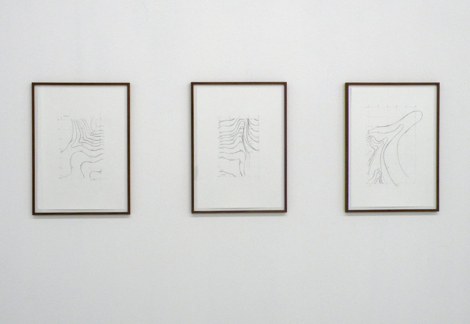 Lara Alamarcegui, Mineral rights: magnetic anomaly, day 2, Tveitvangen, 2015