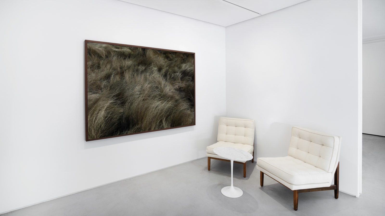 Chang Sungeun 장성은, Wild fluctuation, 2022