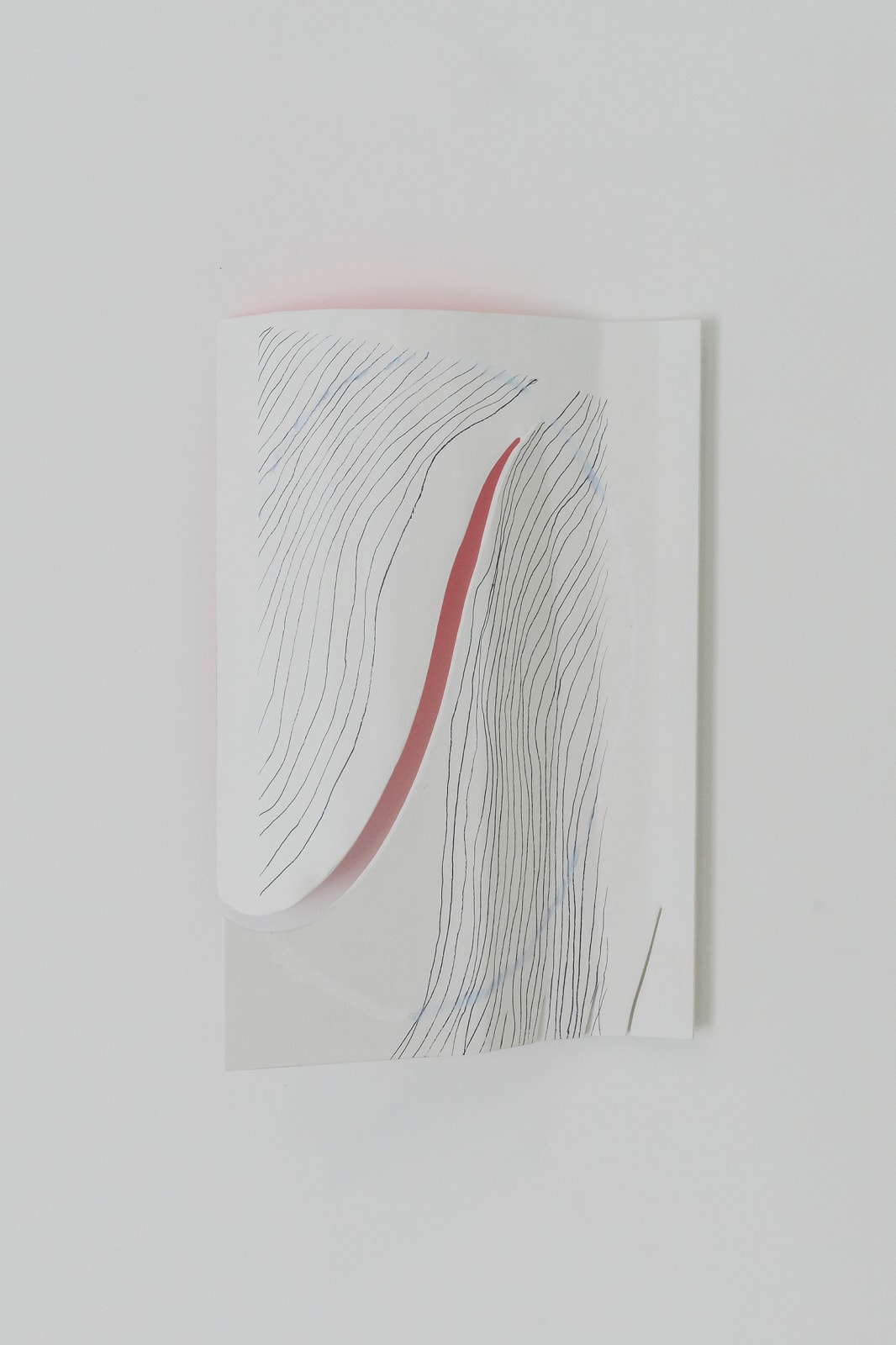 Kwantaeck Park 박관택, Hairy, Hairy