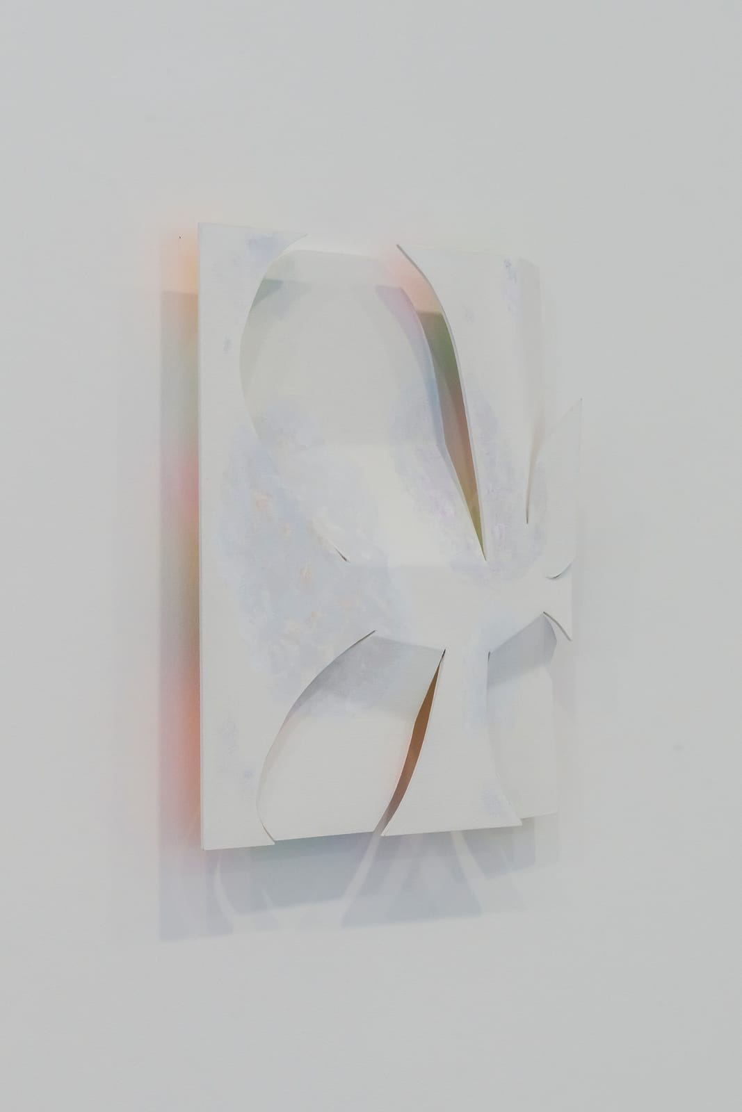 Kwantaeck Park 박관택, no blossom and ferment, 2025