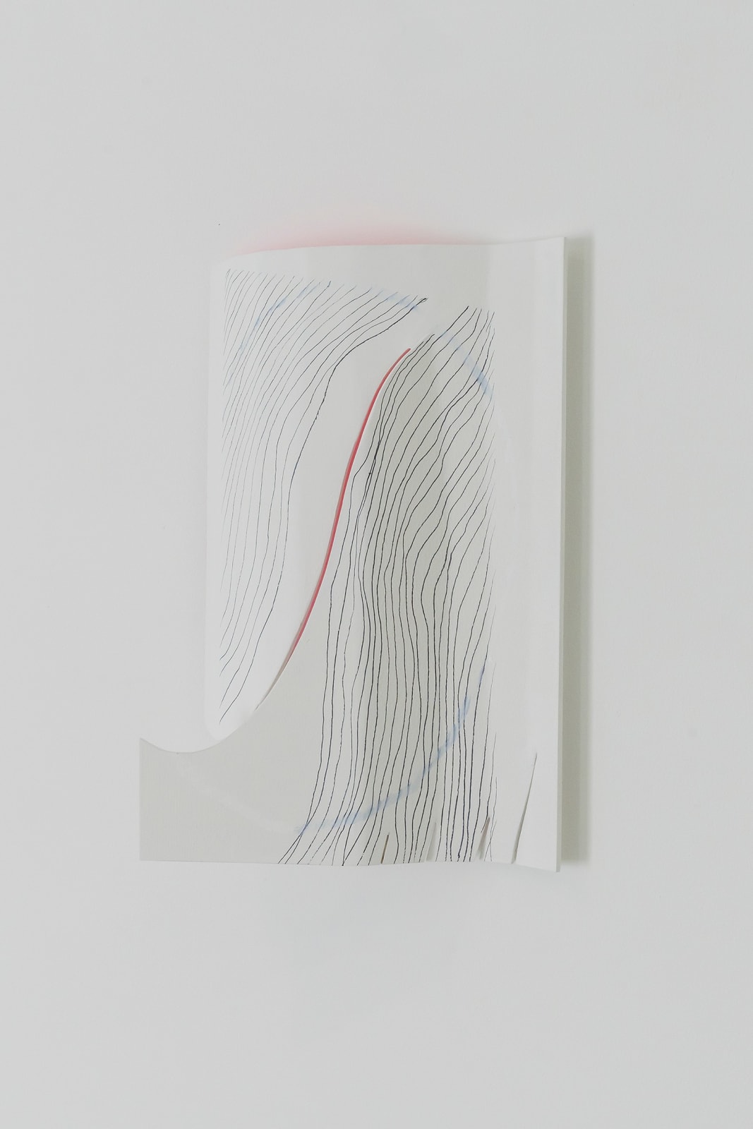 Kwantaeck Park 박관택, Hairy, Hairy