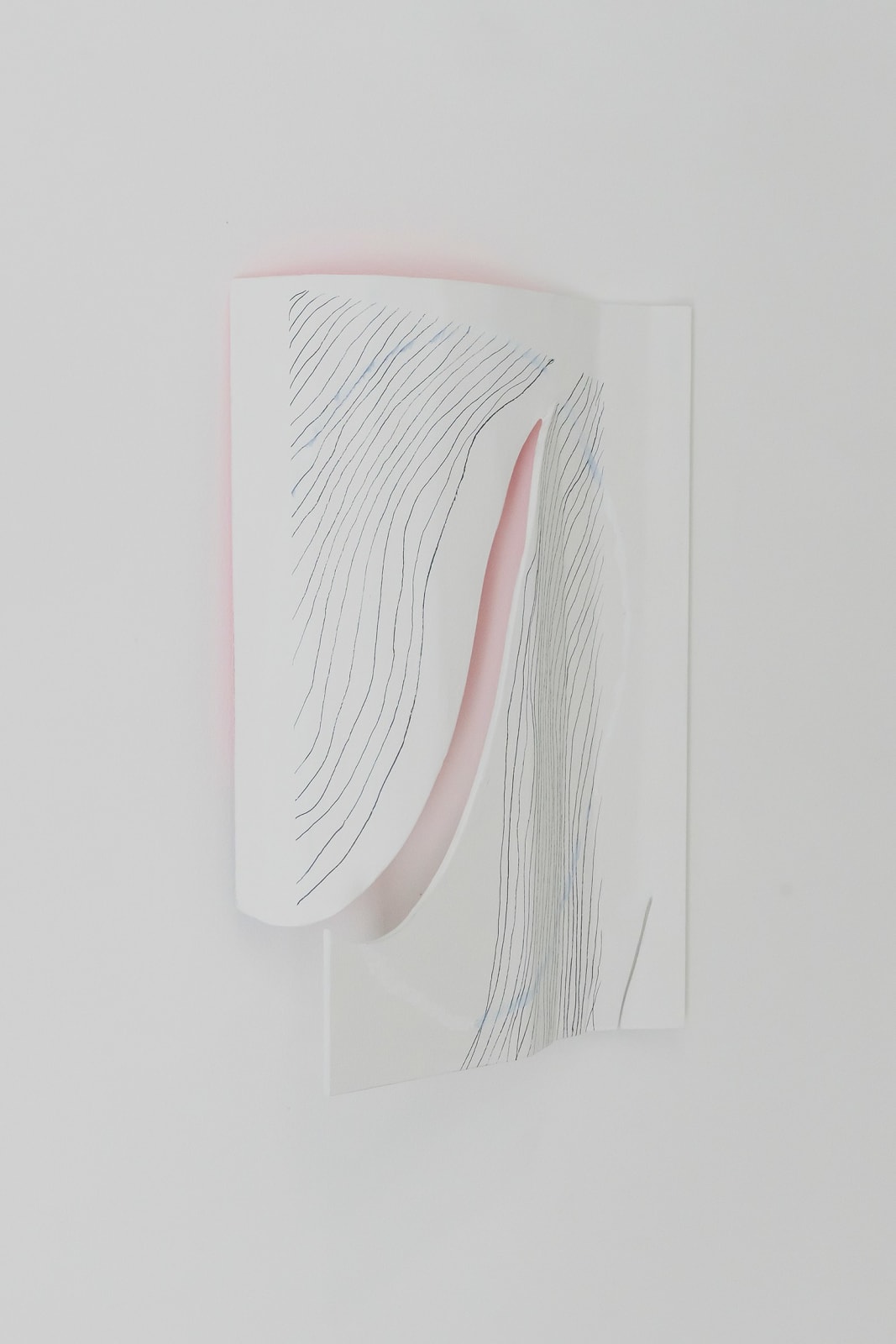 Kwantaeck Park 박관택, Hairy, Hairy