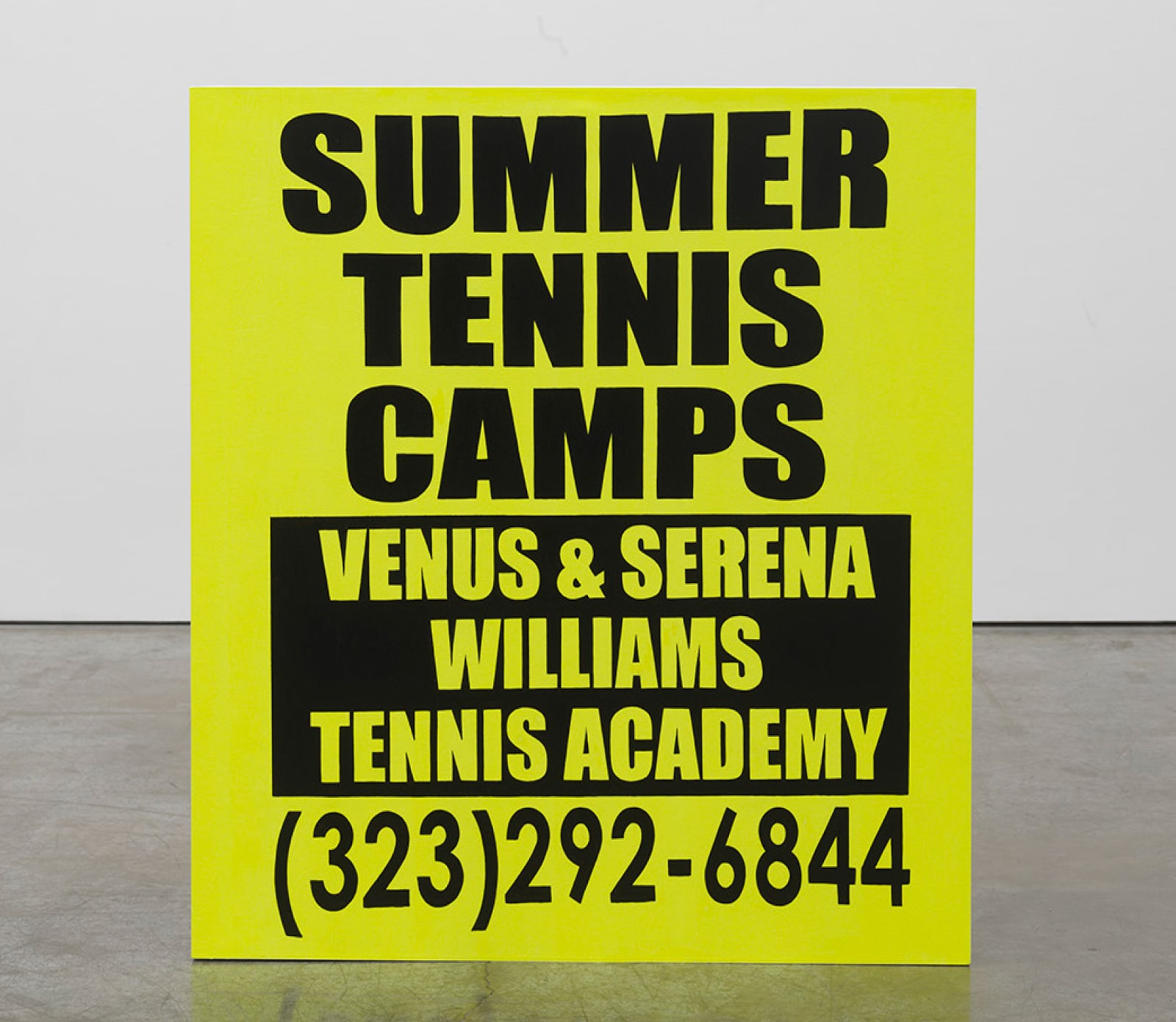 Lauren Halsey 로렌 할세이, Venus n serena, 2021