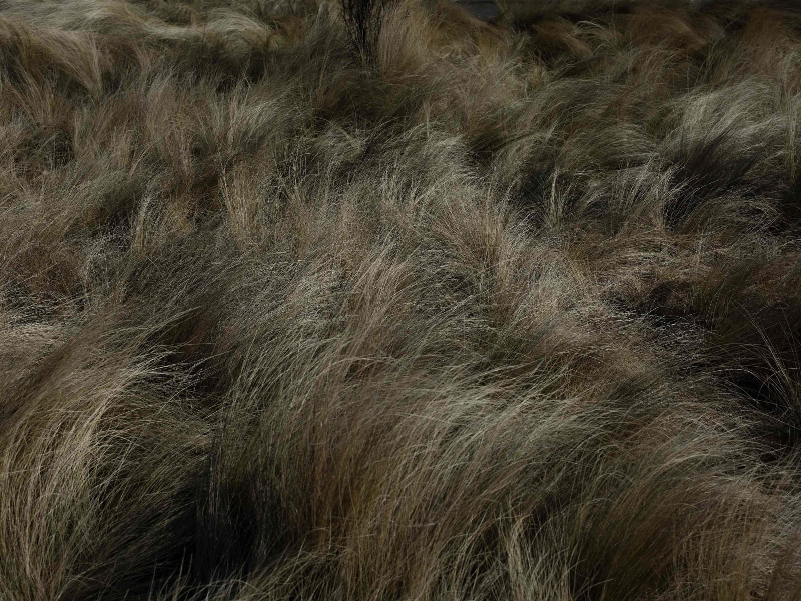 Chang Sungeun 장성은, Wild fluctuation, 2022