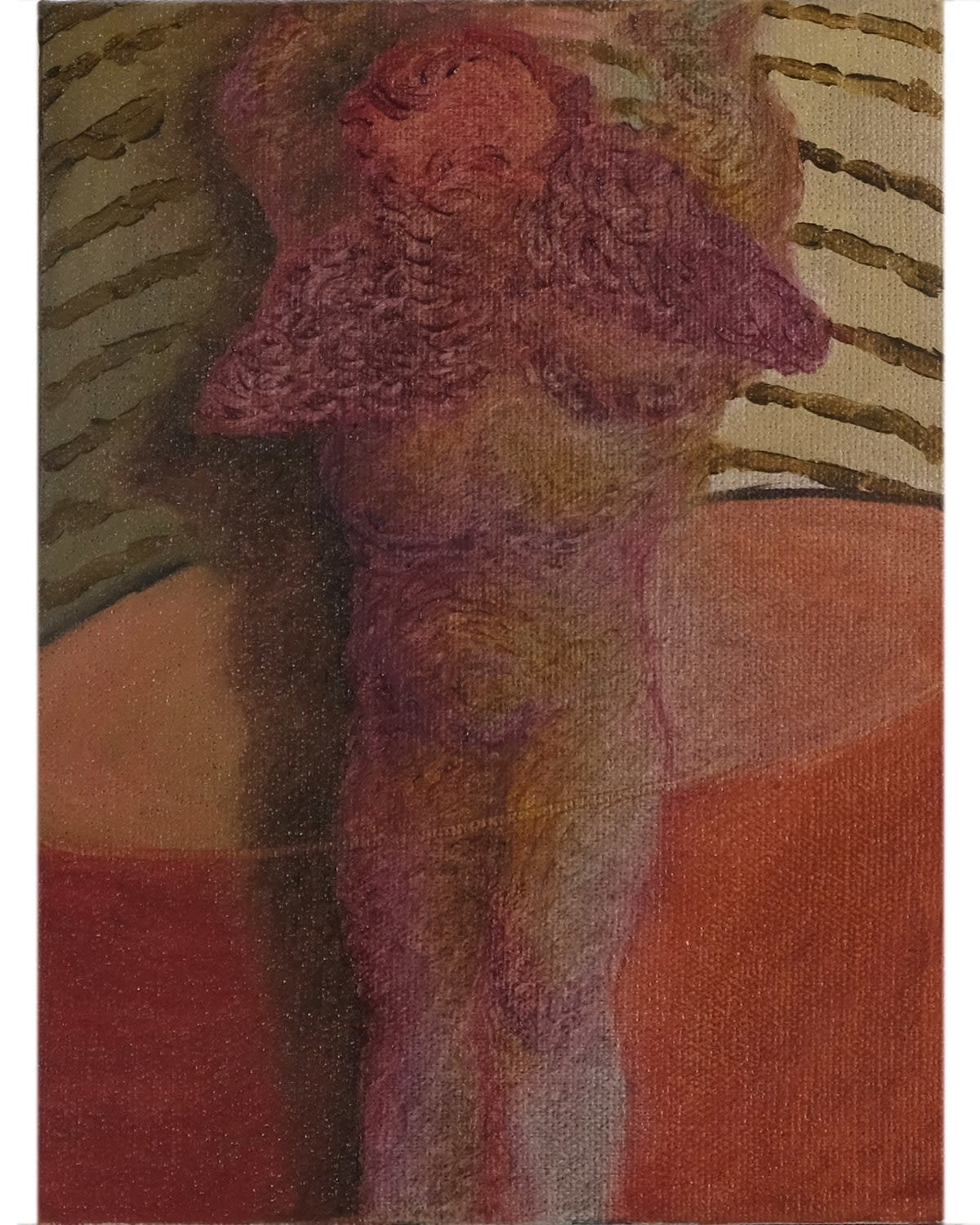 Lâl Yılmaz, Cirque