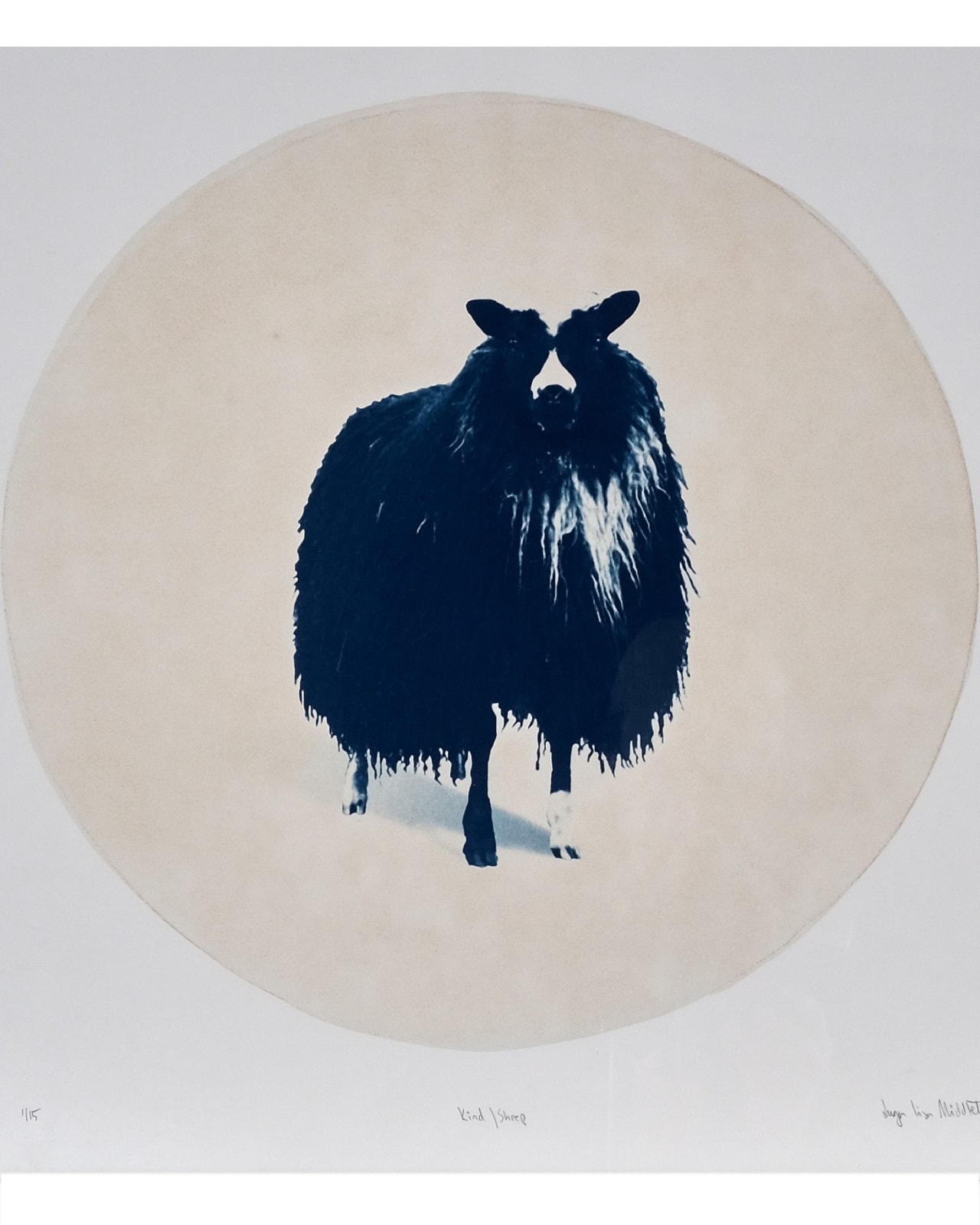 Inga Lisa Middleton, Kind / Sheep