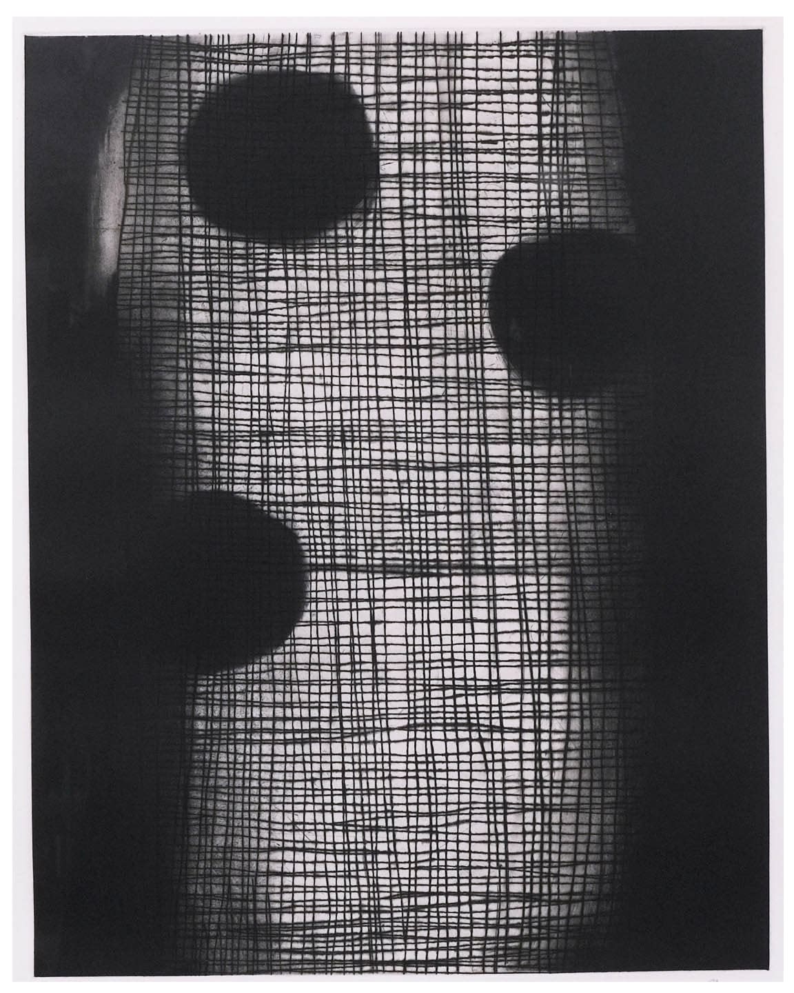 Ian McKeever, After Marianne North No. 1