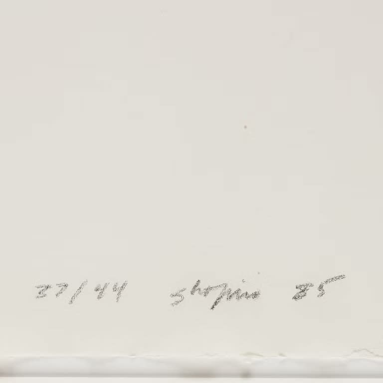 Joel Shapiro, Untitled #2