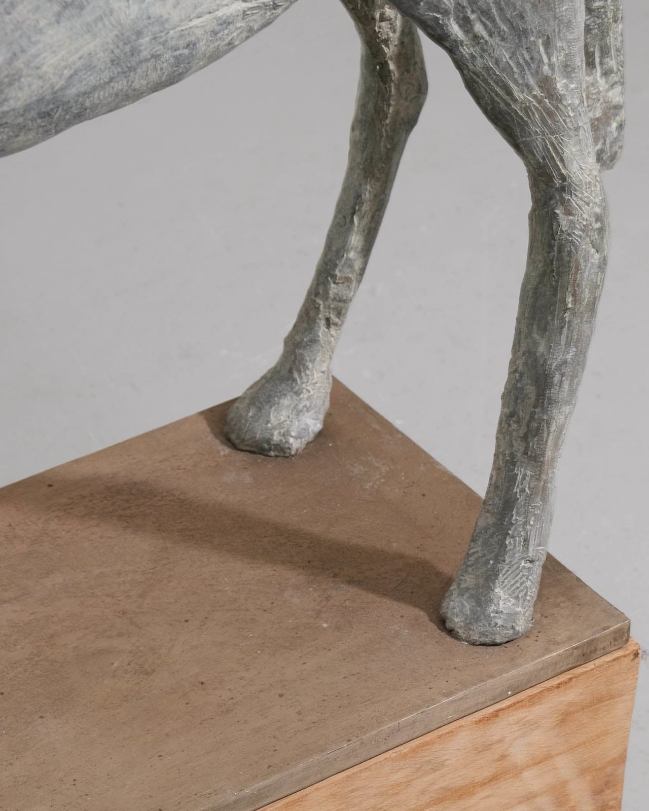 Christopher Marvell, Rider