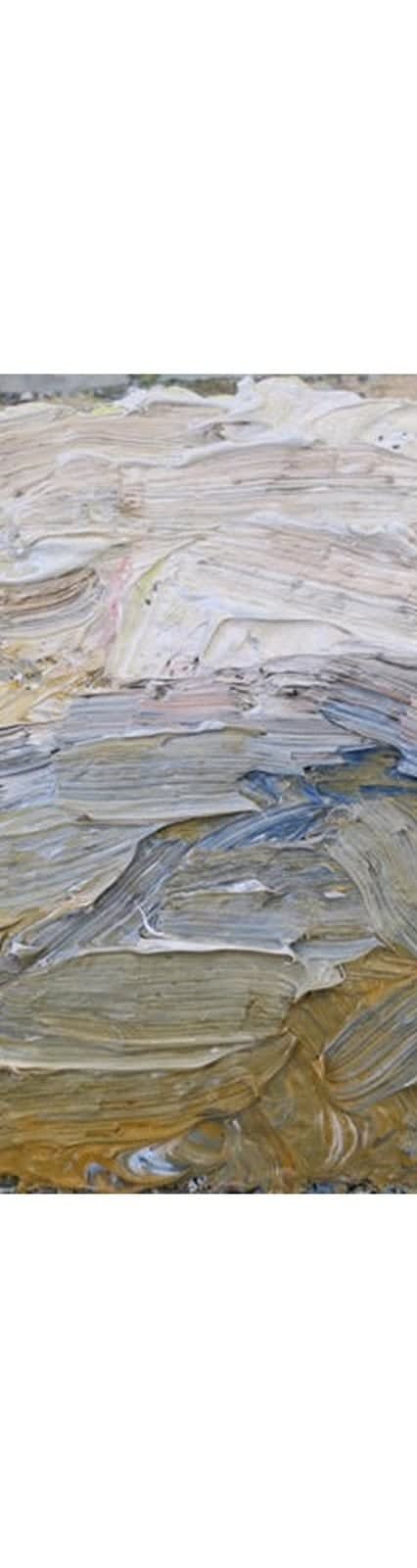 Richard Cook, Dartmoor Remembrance