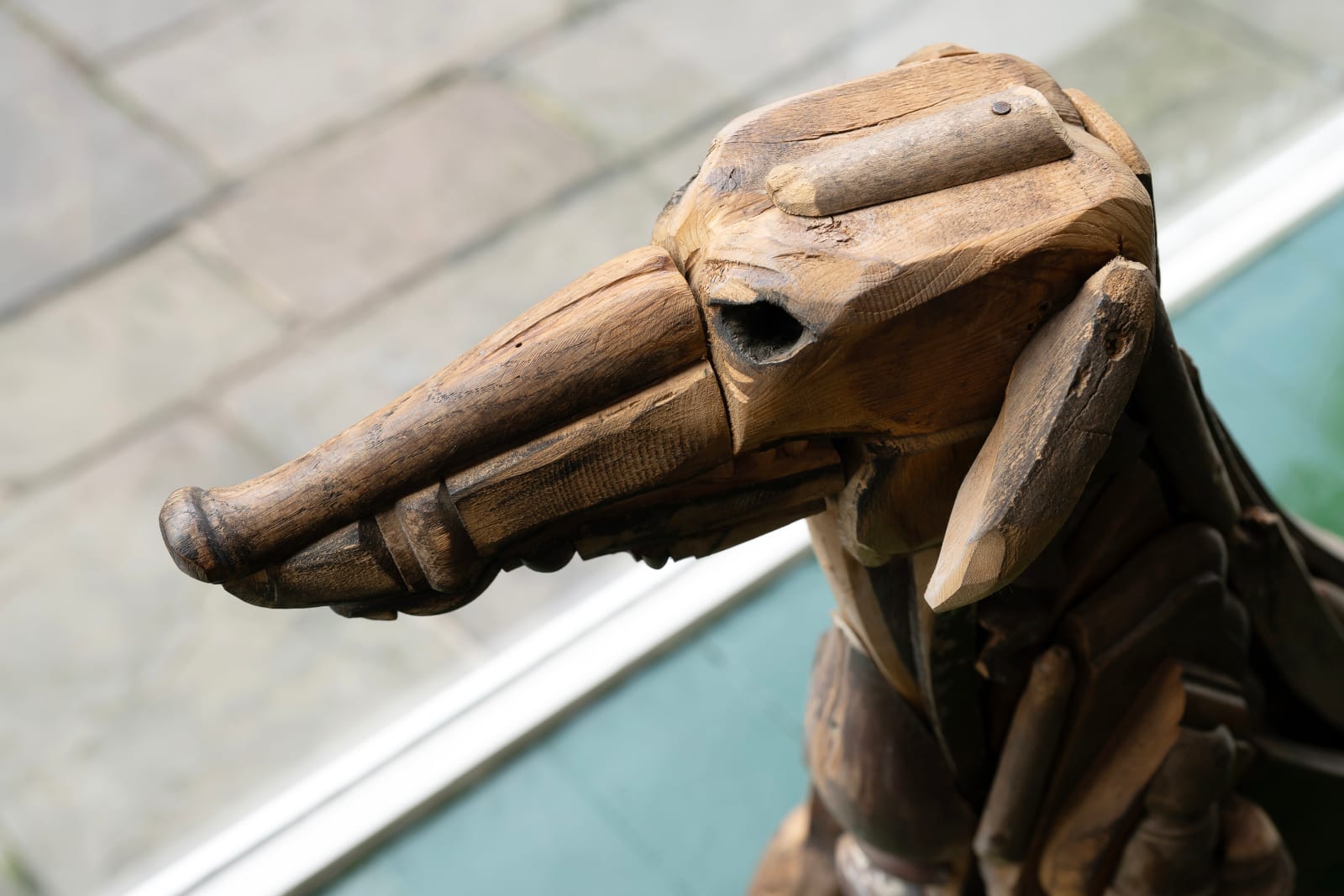 Amata Benedict, Laconian Hound (Female)