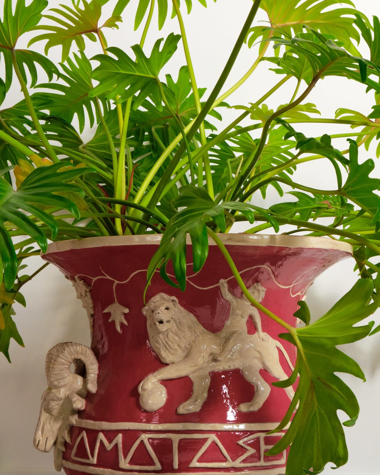 Amata Benedict, Amata Benedict Urn