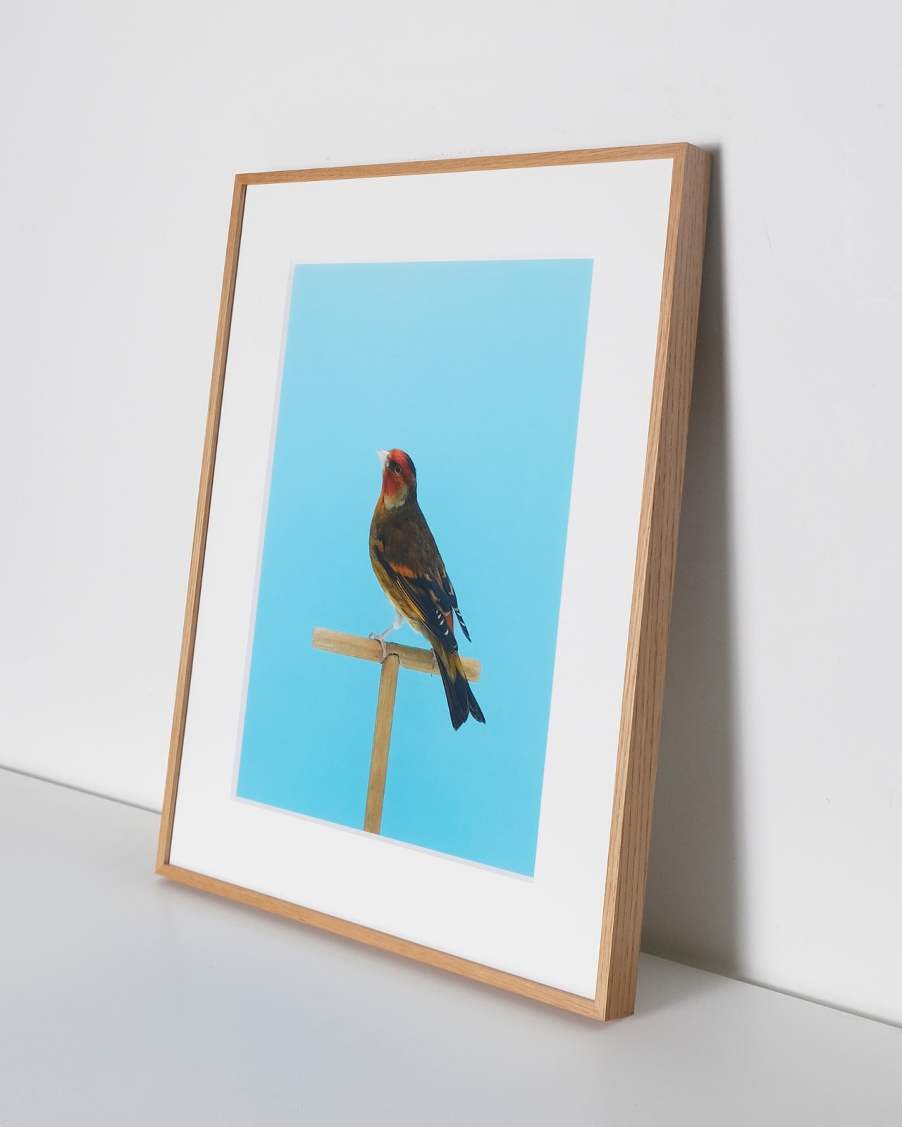 Luke Stephenson, Goldfinch #3 (Mule), 2017