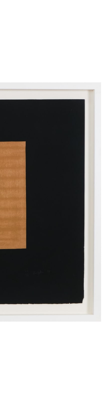 Howard Hodgkin, Indian View D
