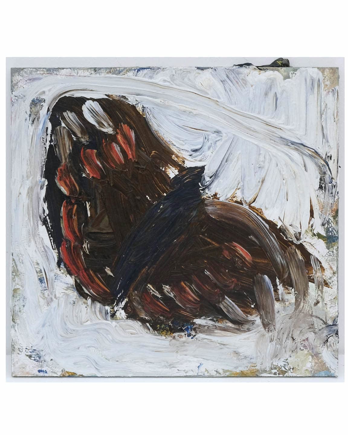 Richard Cook, Red Admiral