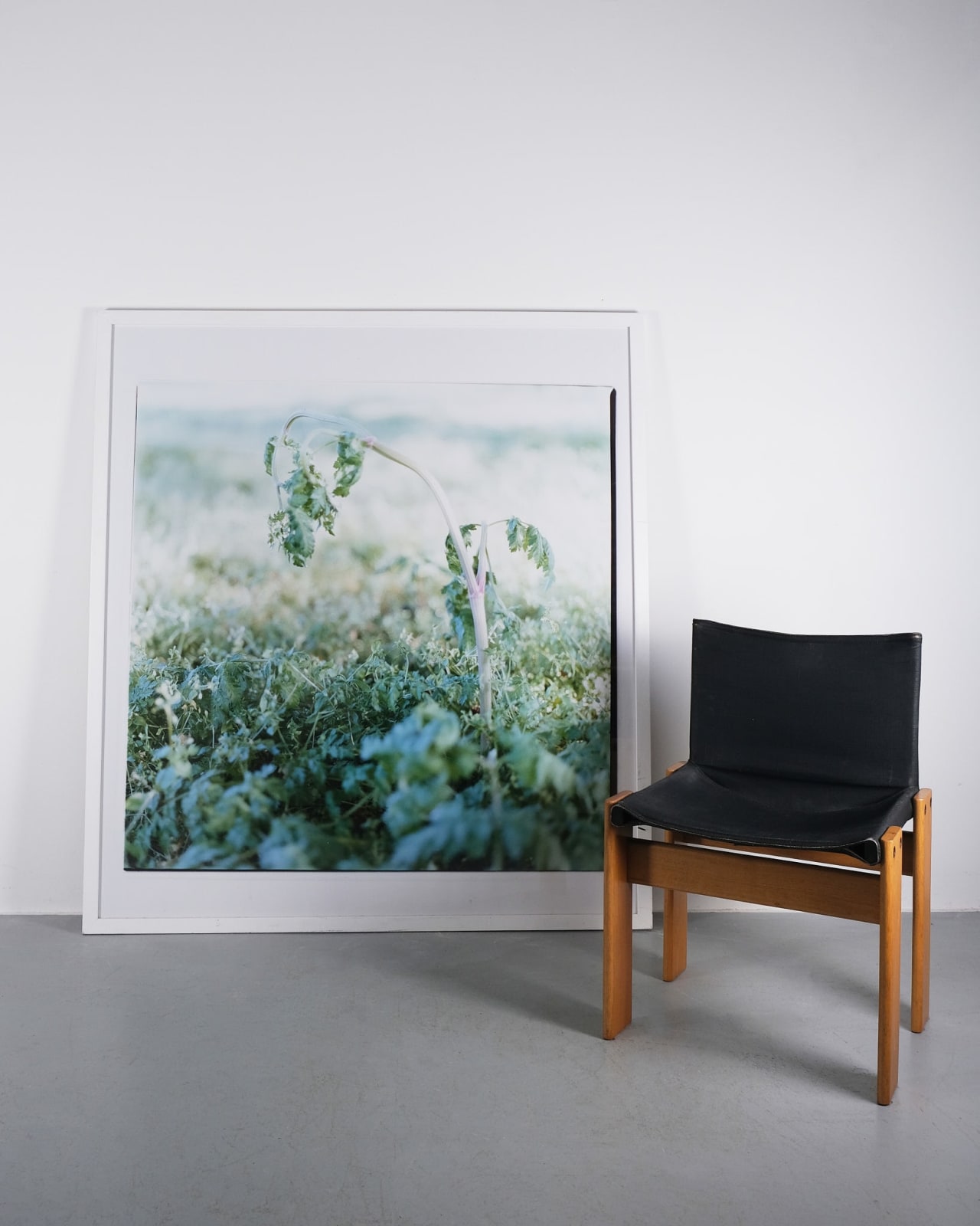 Louise Long, La Veille