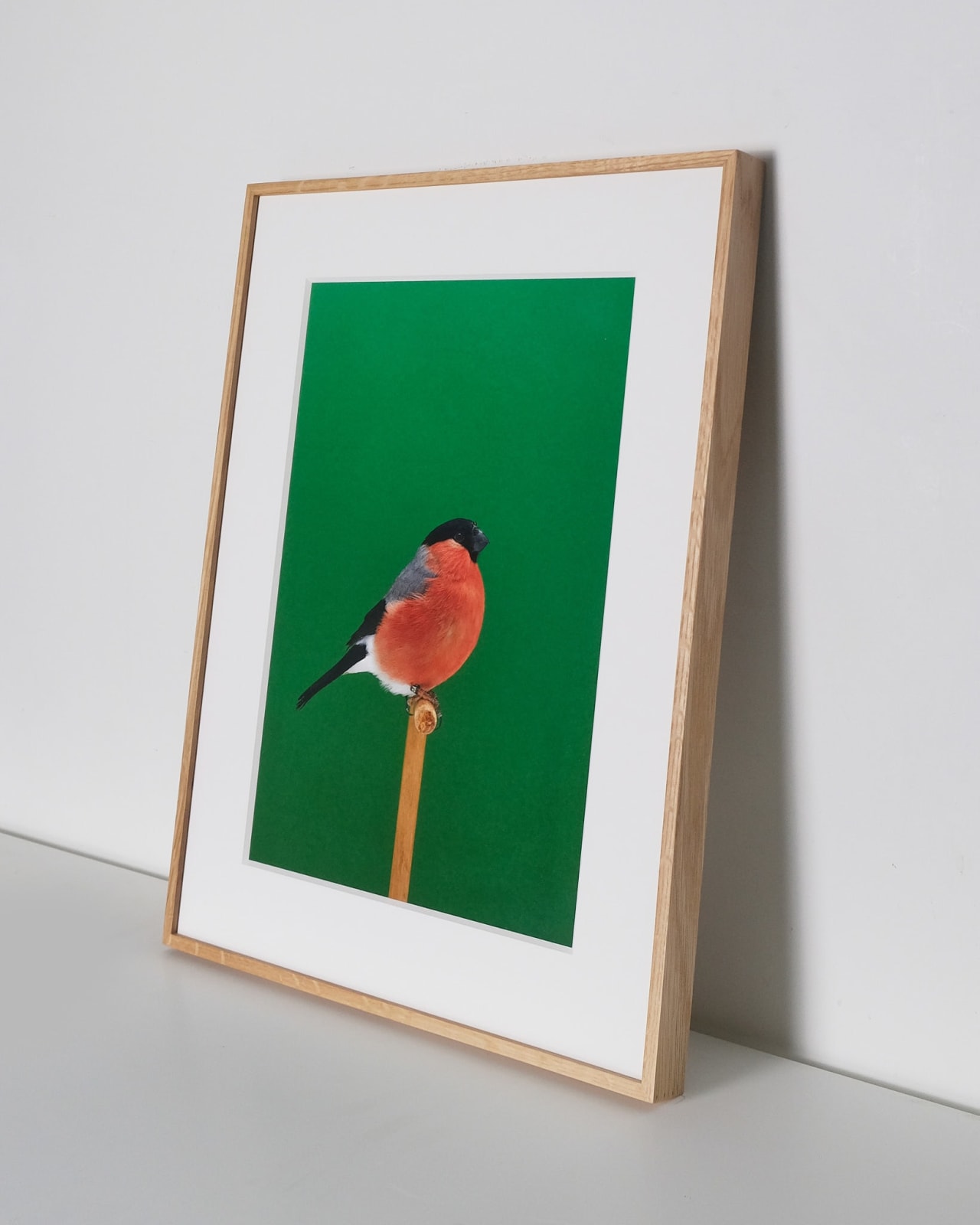 Luke Stephenson, Bullfinch #3 (Cock), 2017