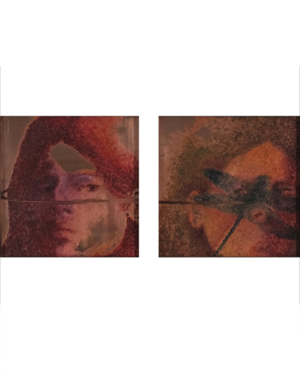 Lâl Yılmaz, Dragonfly