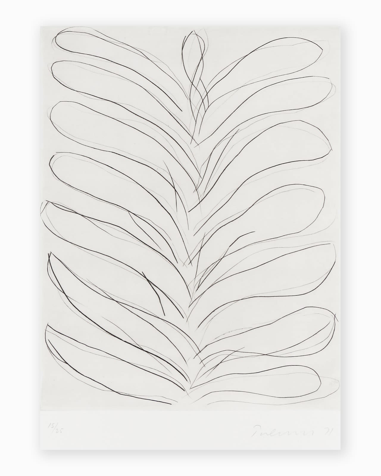 William Turnbull, Leaf 6