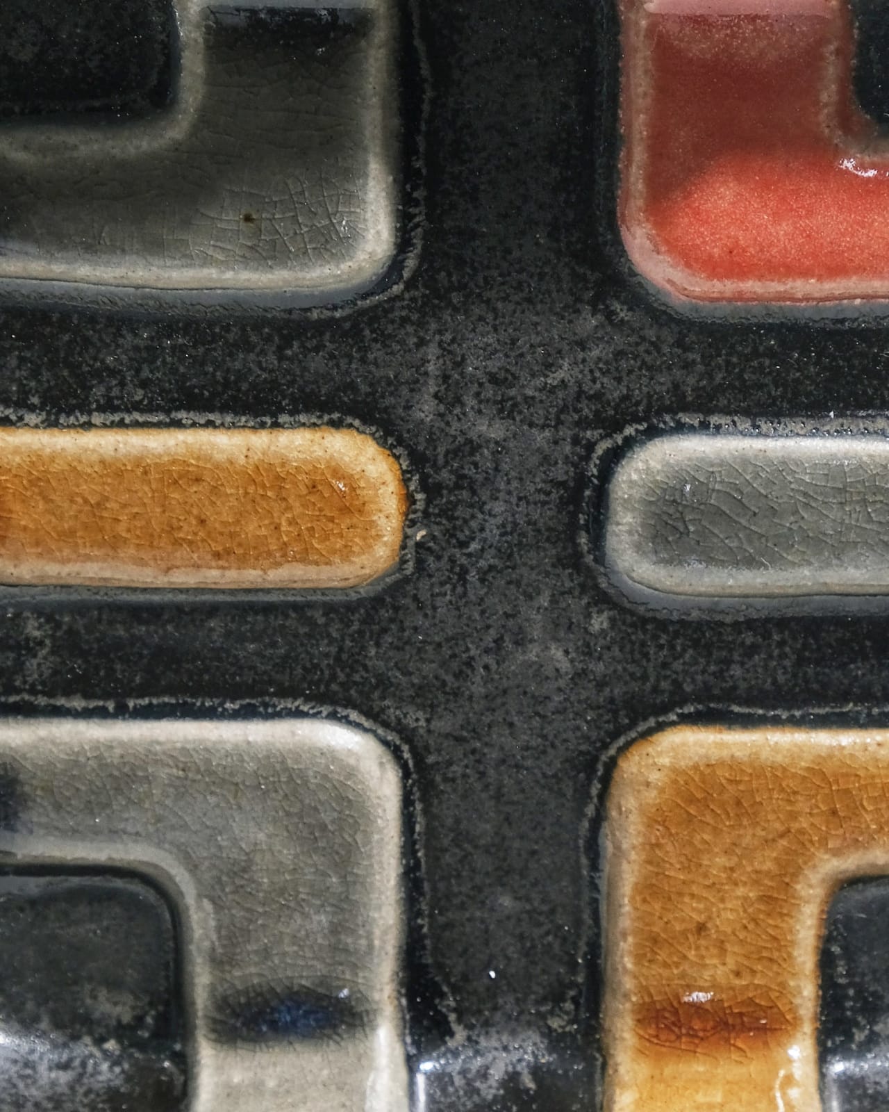 Nicola Tassie, Cellulose