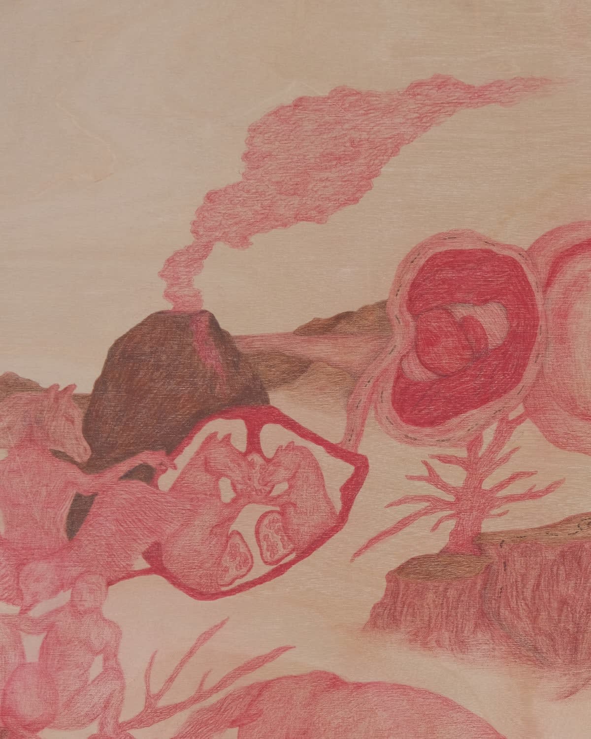 Lâl Yılmaz, Tale of the Fallen Horse