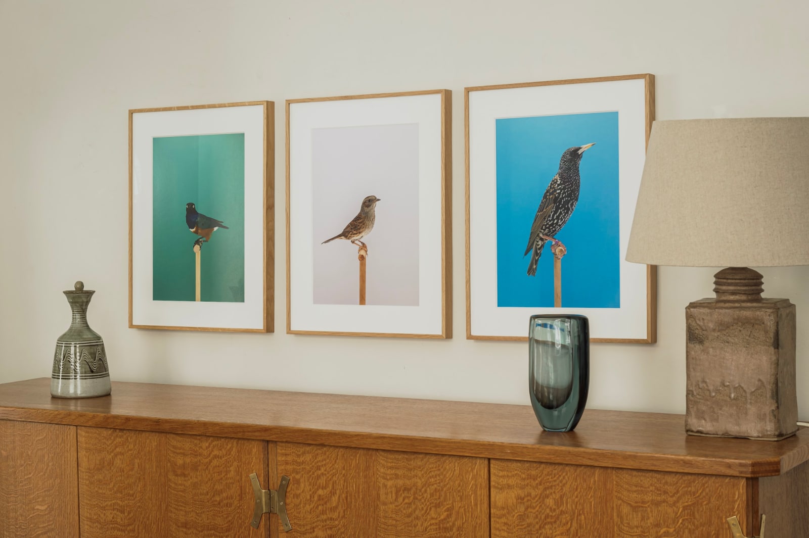 Luke Stephenson, Dunnock #2 (Hedge Sparrow), 2018