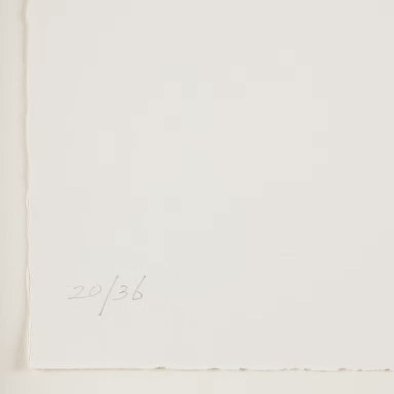 Joel Shapiro, Untitled