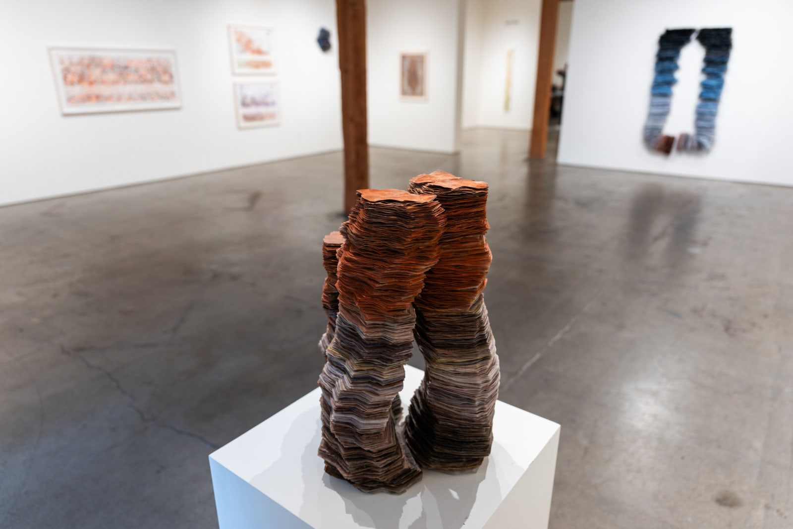 Christine Bourdette, Slouch Canyon, 2024