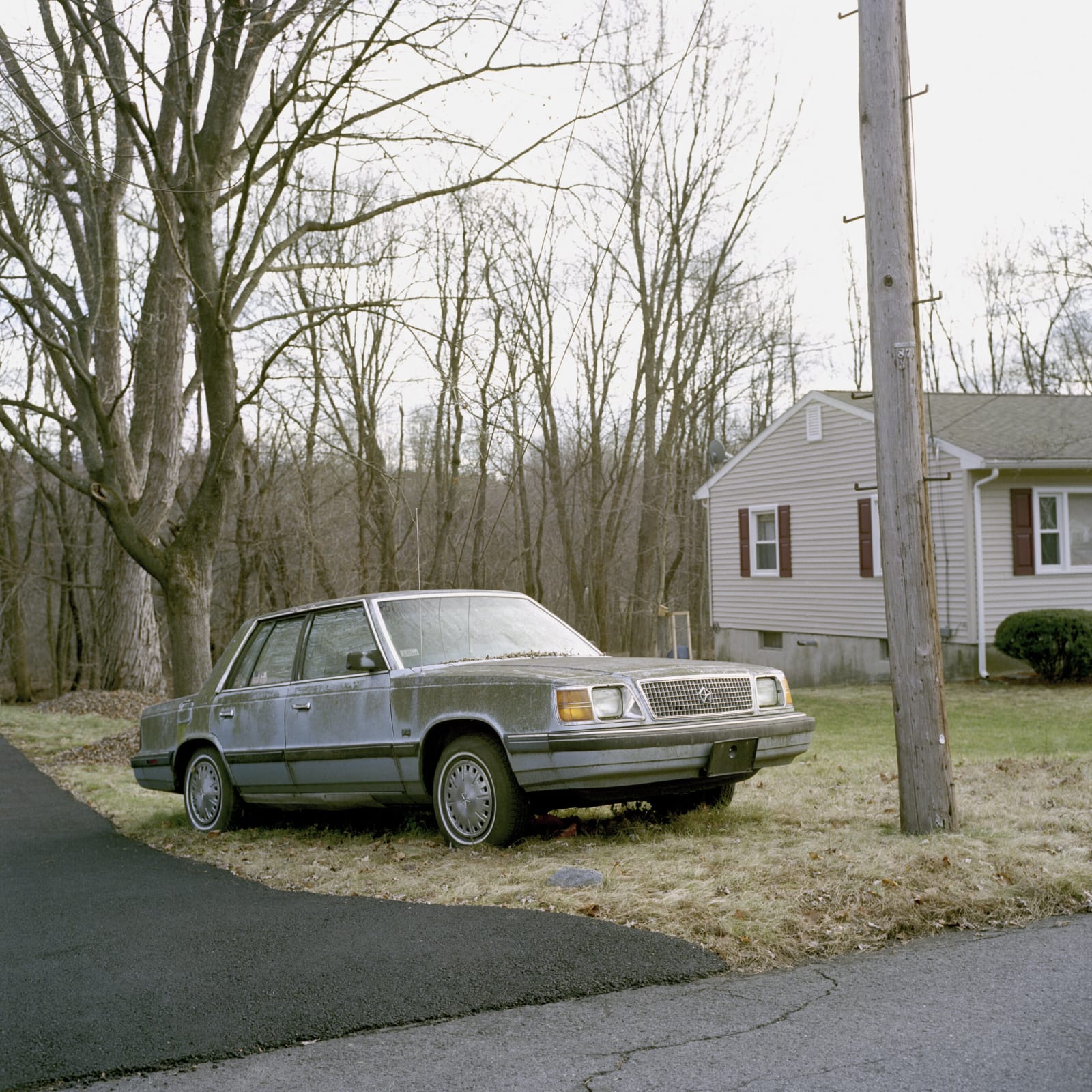 Robert Lyons, Untitled, 2015/2016