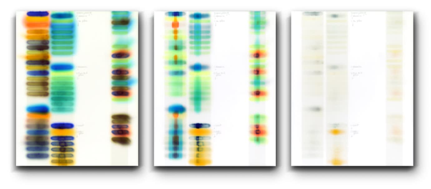 Jaq Chartier, SunTest #8 (Day 5, 18, 48), 2019