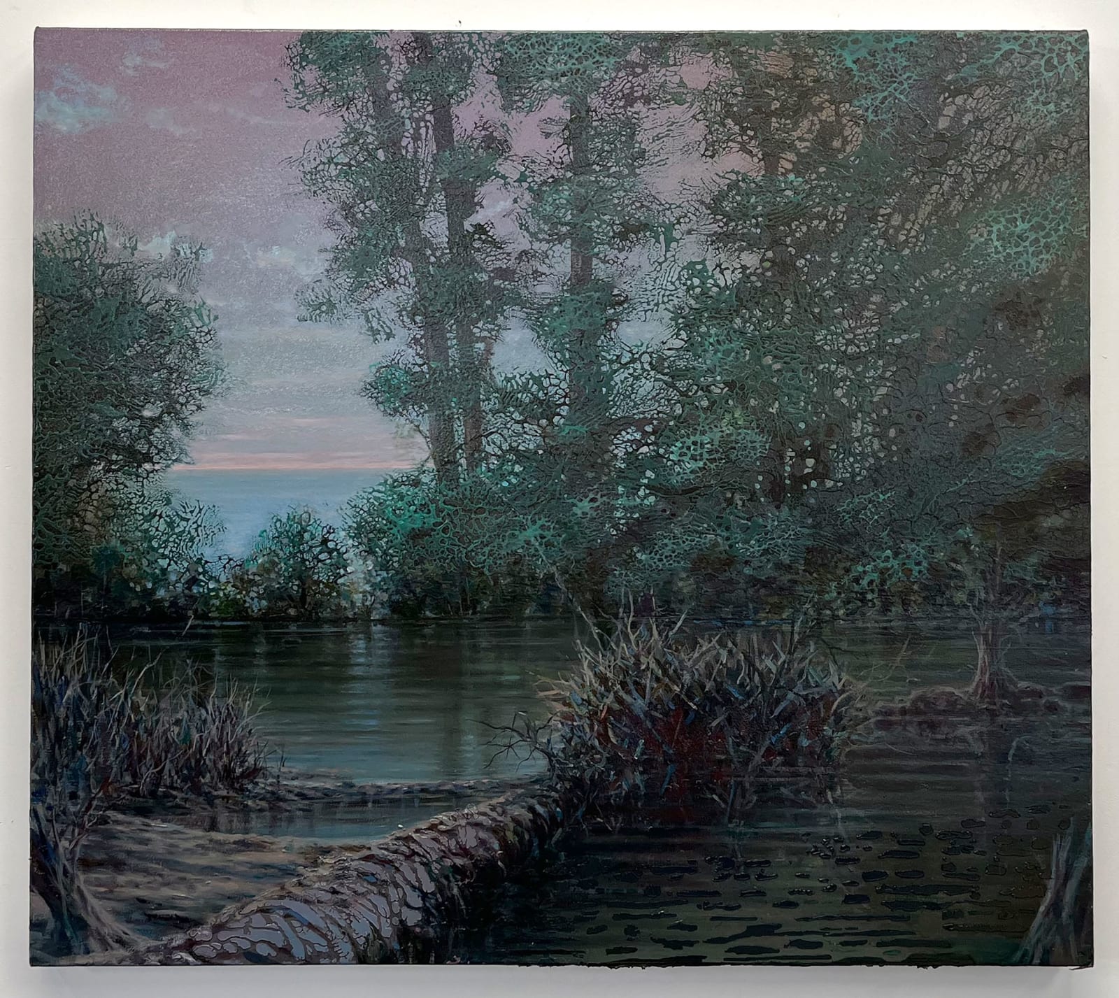 Shane McAdams, Lion's Den, 2023