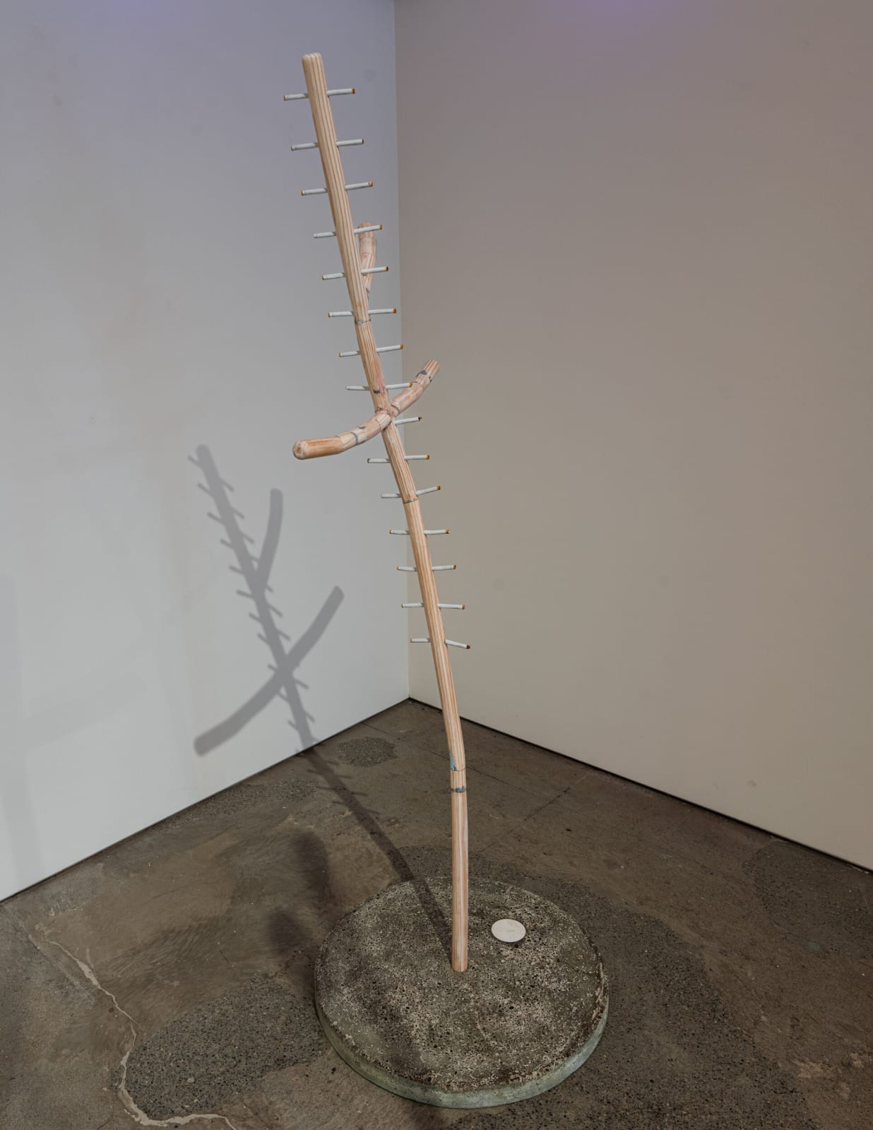 Derek Franklin, DCH, 2023