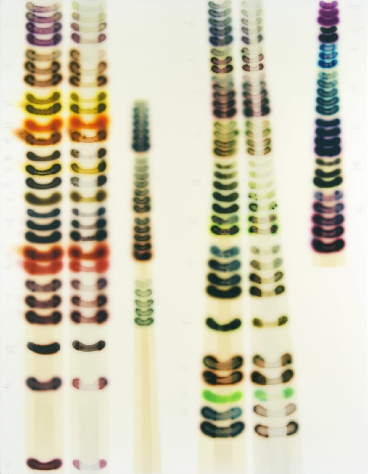 Jaq Chartier, Infusion (BIN vs. Krylon Fusion), 2009