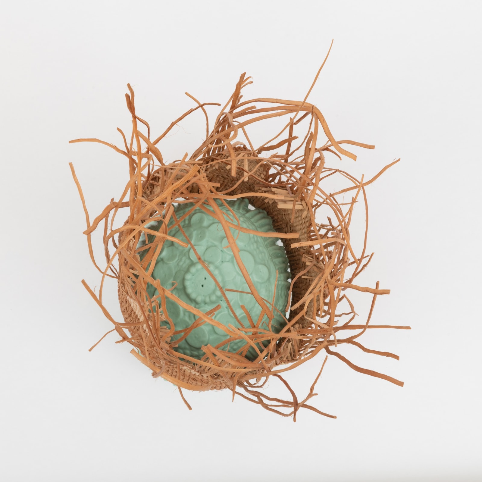 Sara Siestreem (Hanis Coos), mint, 2017-2022