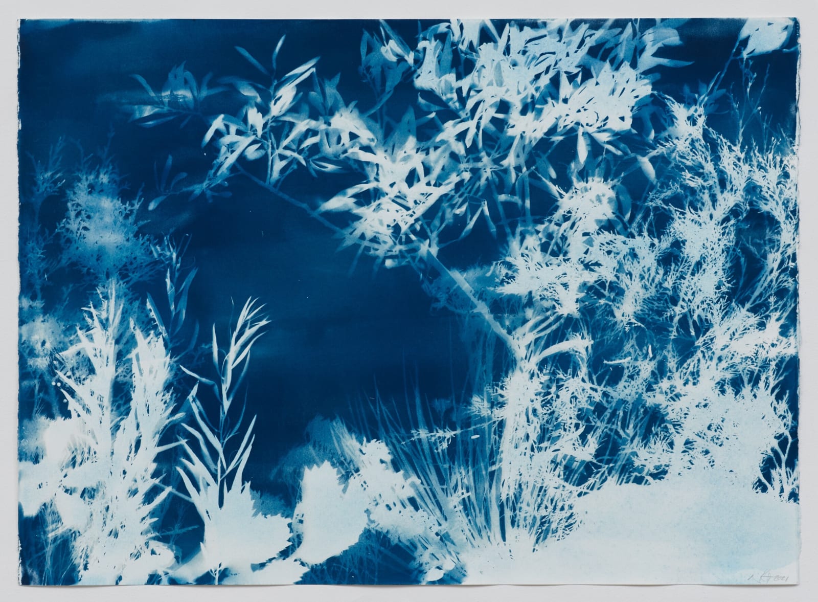 Nicola López, UnWild 1, 2021