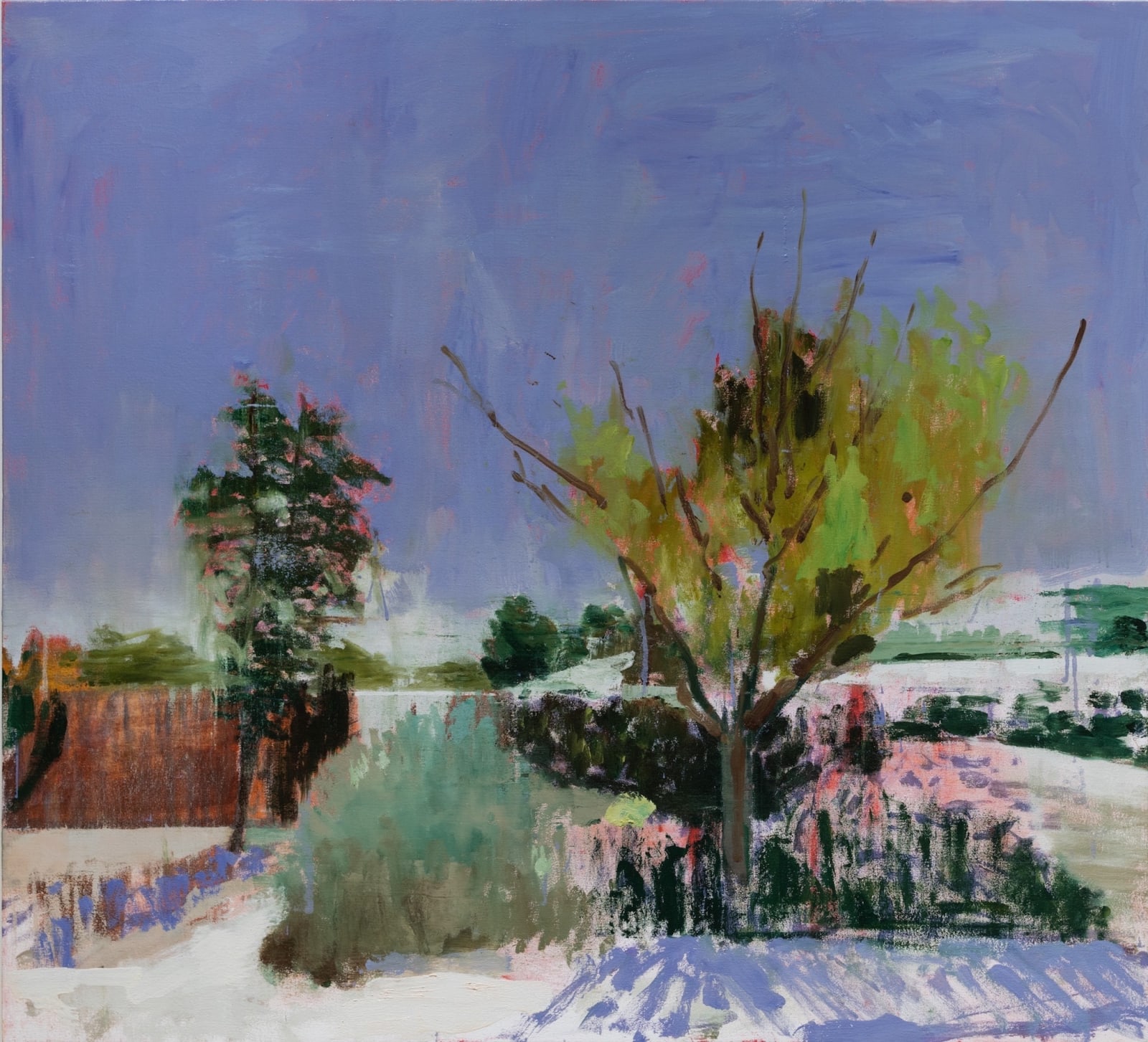 Stephen Hayes, Albuquerque, NM 12-25-19, 2020