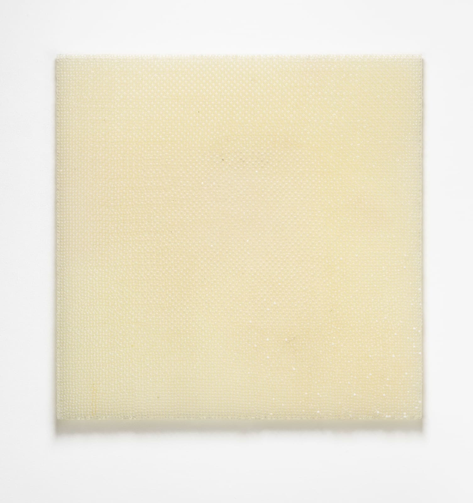 Sean Healy, Sugar Pill, 2018