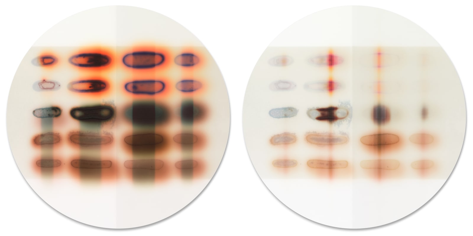 Jaq Chartier, SunTest #19 (Day 6 & 62), 2021